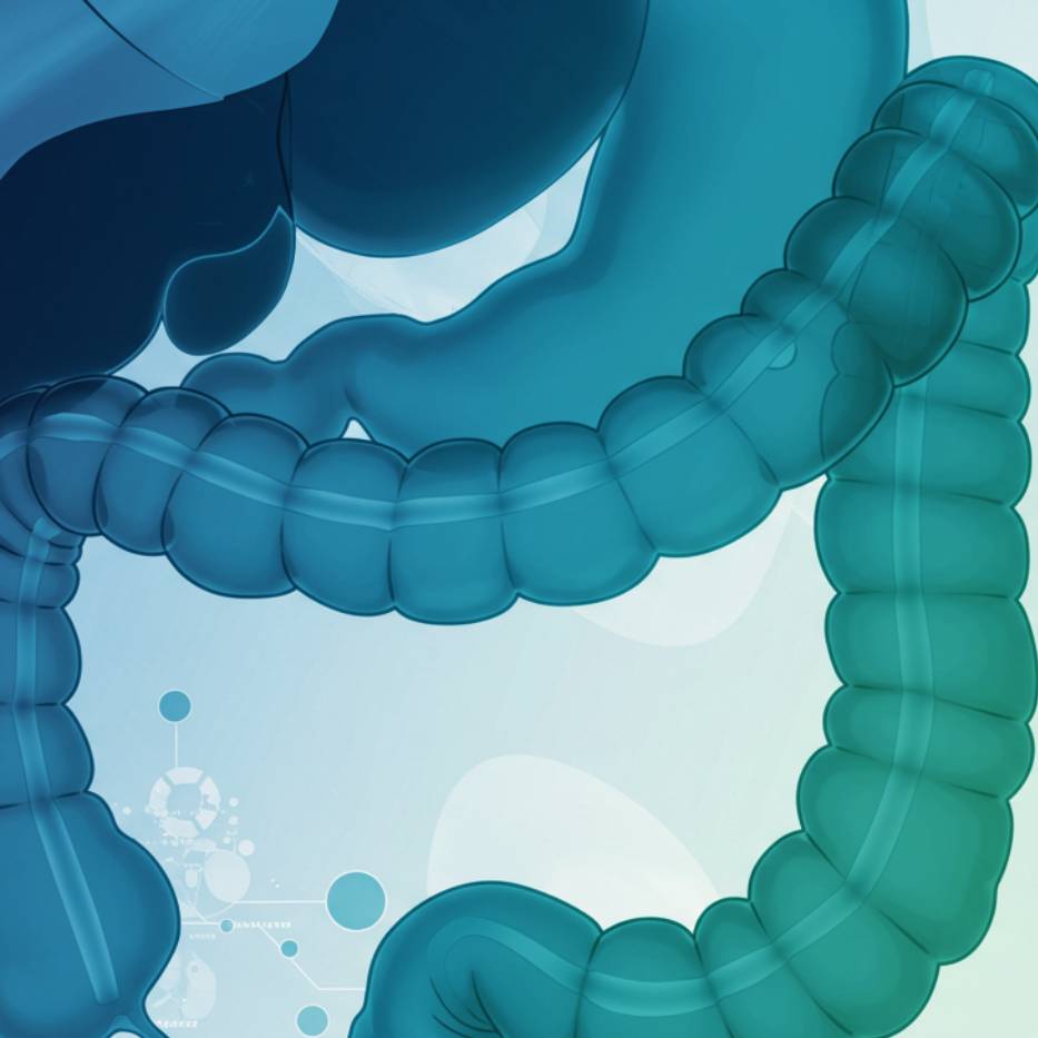 Colon Cancer Screening and Prevention