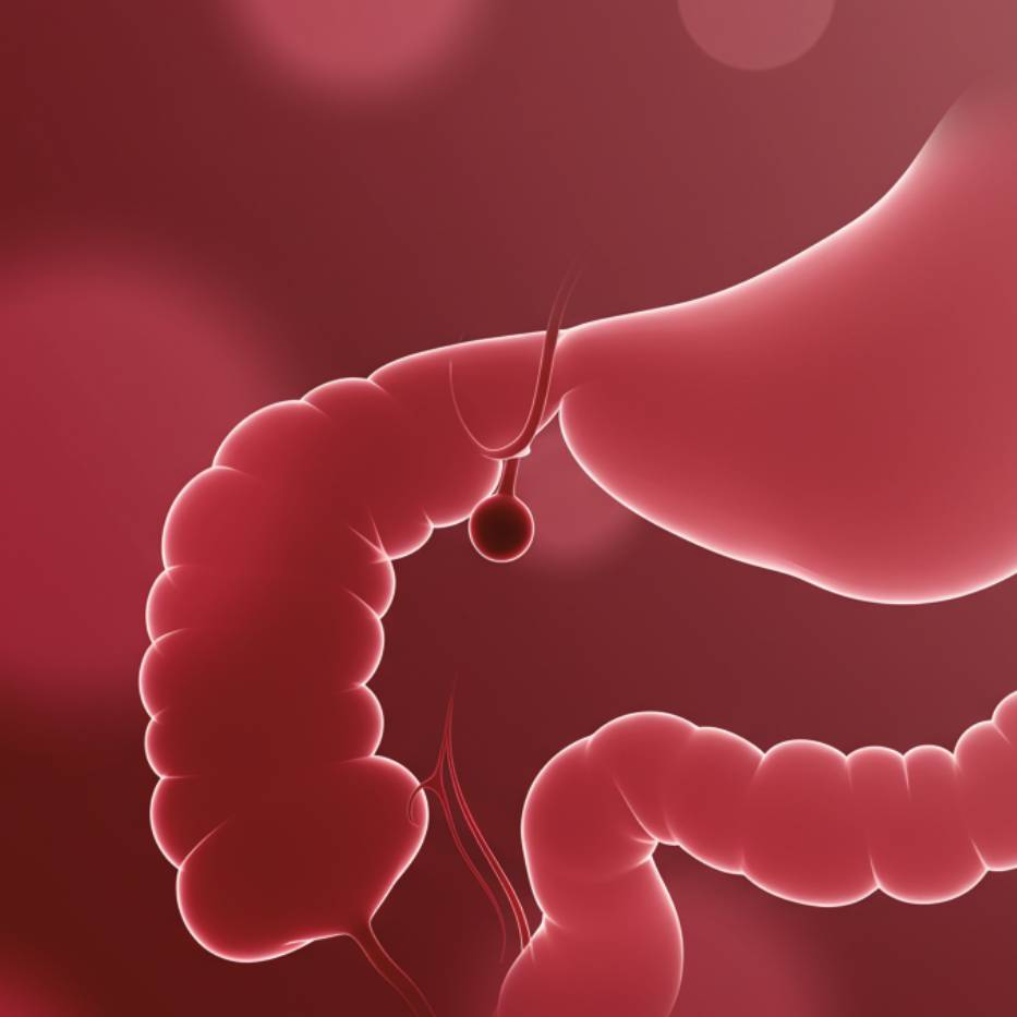 Hemorrhoids and Anorectal Disorders