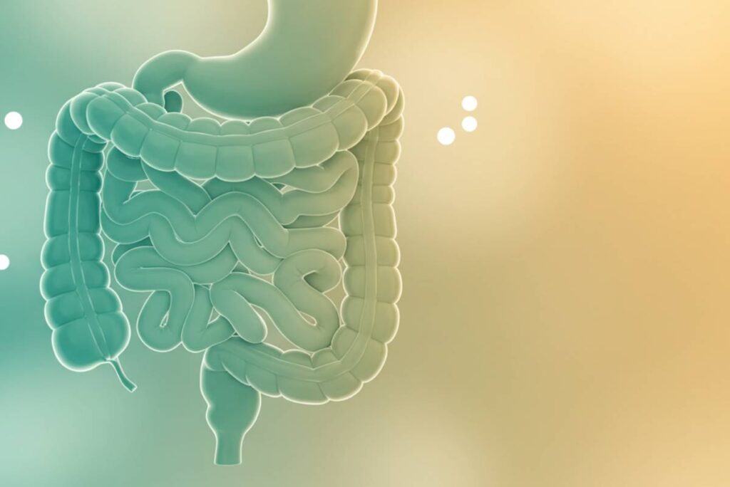 Gastroenterologist in New York City